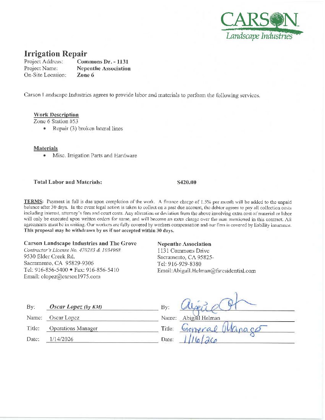 Carson Landscape – Irrigation Repairs – Zone 6, Station 53